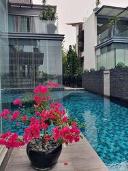 Ocean Drive (D4), Detached #460833921
